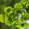 PDX’er profil fotoğrafı