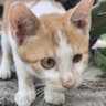 年金银铜's profile picture