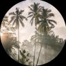 سويّر profil fotoğrafı
