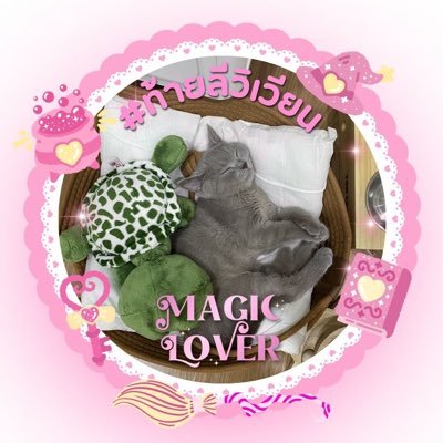 คุนเบ้บ (🦆🐰)'s profile picture
