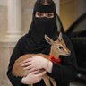 مــشــاعــل profil fotoğrafı