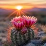 Фото профиля hamed70