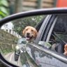 HariShankar profil fotoğrafı