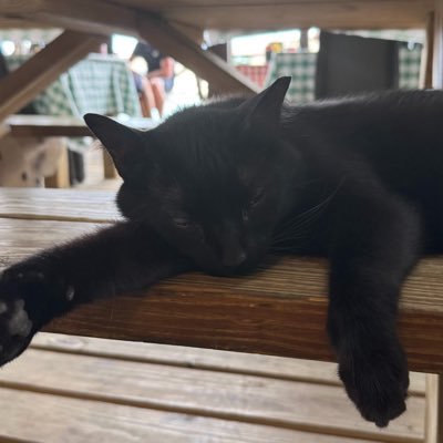 ke_willl's profile picture