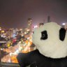 YXSDF's profile picture