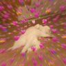 Pl0ym0n🌻✨️'s profile picture