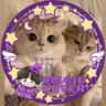 Profilbild von ⁽⁰⁶¹³⁾𝖼𝗁𝖺𝗆𝗈𝗆𝗂𝗅𝖾¹¹⁴