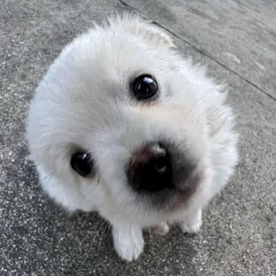 5OOOhz's profile picture