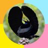 リマ 的头像