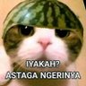 Profilbild von jack
