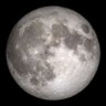 LORD OF THE FULL MOON NIGHT 的头像