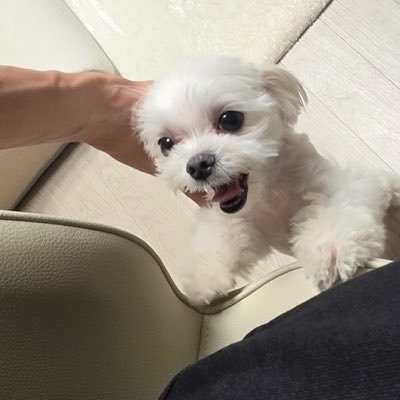 bb's profile picture