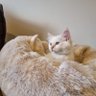 Linkyy's profile picture
