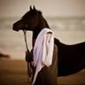 Фото профиля FARES فارس