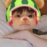 christon ☆ is marked 🐾's profile picture