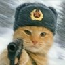曼波 profil fotoğrafı