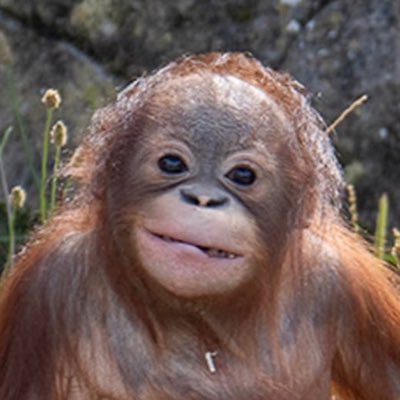 taeminluvr7's profile picture