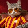 Profilbild von cntrm