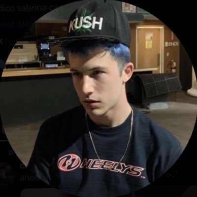 taylsrism's profile picture
