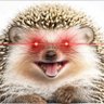 Crypto Hedgehog's profile picture