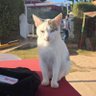 Tsivery 🦥🌦 profil fotoğrafı