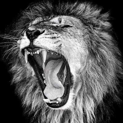 FINEPRICEONE's profile picture