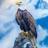 bitrus adamu $BUBBLE's profile picture