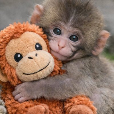 Mifie's profile picture