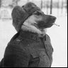 lilzedong's profile picture