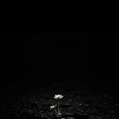 maxi306's profile picture