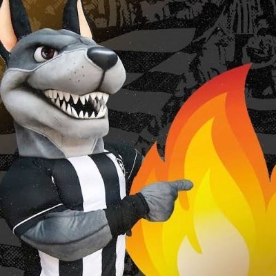 ✮ ✪ Geraldinos Alvinegros ≛≣ 彡's profile picture
