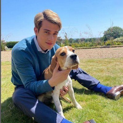 springacdfox's profile picture