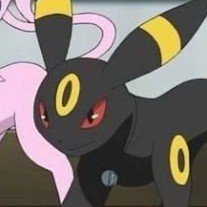 Uranium 235 🐇's profile picture