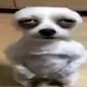Zelaz's profile picture