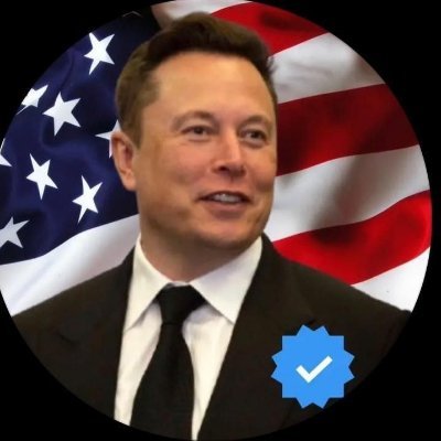 Elon Musk Observer's profile picture
