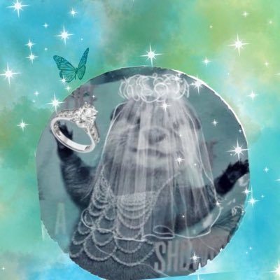 Ladynavy13's profile picture