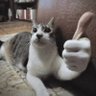 mrbitbit17 的头像