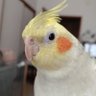 みずき☆🫧🐟👑🌈🤍 的头像