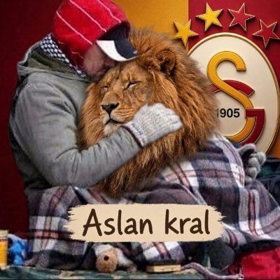 Aslan_Kral💛❤'s profile picture