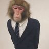 rik's profile picture