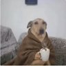Profilbild von Sem Sem
