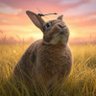 mrsabrabbit 的头像