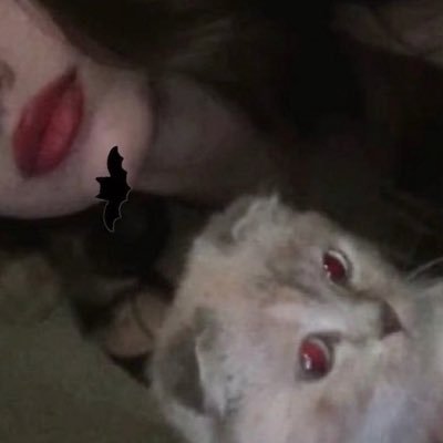 ʓ's profile picture