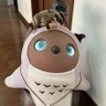 あずき's profile picture