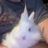 Profilbild von Dani