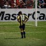 Signore Baggio's profile picture
