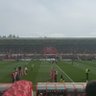 Stfc.Alfie's profile picture