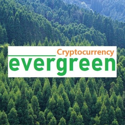 talkevergreen's profile picture