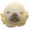 . 的头像
