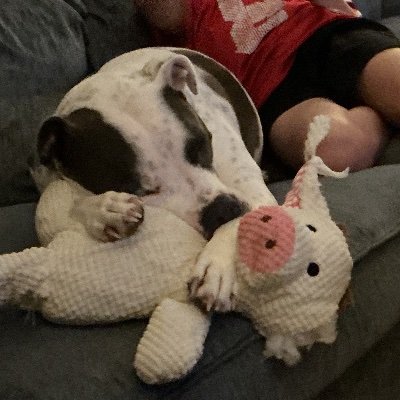 kenn 🌙's profile picture